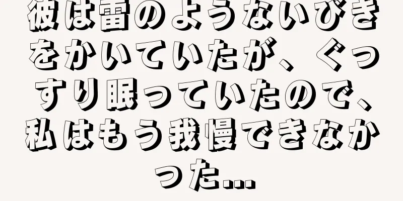 彼は雷のようないびきをかいていたが、ぐっすり眠っていたので、私はもう我慢できなかった...