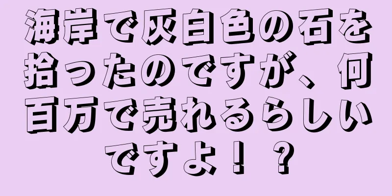 海岸で灰白色の石を拾ったのですが、何百万で売れるらしいですよ！ ?