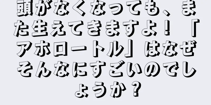 頭がなくなっても、また生えてきますよ！ 「アホロートル」はなぜそんなにすごいのでしょうか？