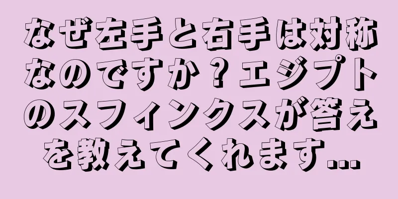 なぜ左手と右手は対称なのですか？エジプトのスフィンクスが答えを教えてくれます...
