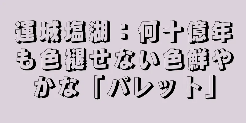 運城塩湖：何十億年も色褪せない色鮮やかな「パレット」