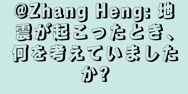 @Zhang Heng: 地震が起こったとき、何を考えていましたか?