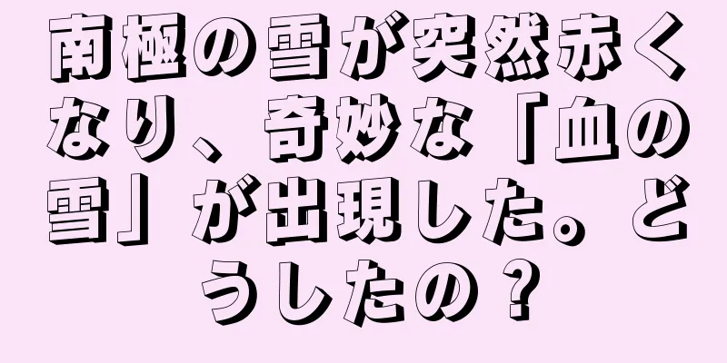南極の雪が突然赤くなり、奇妙な「血の雪」が出現した。どうしたの？