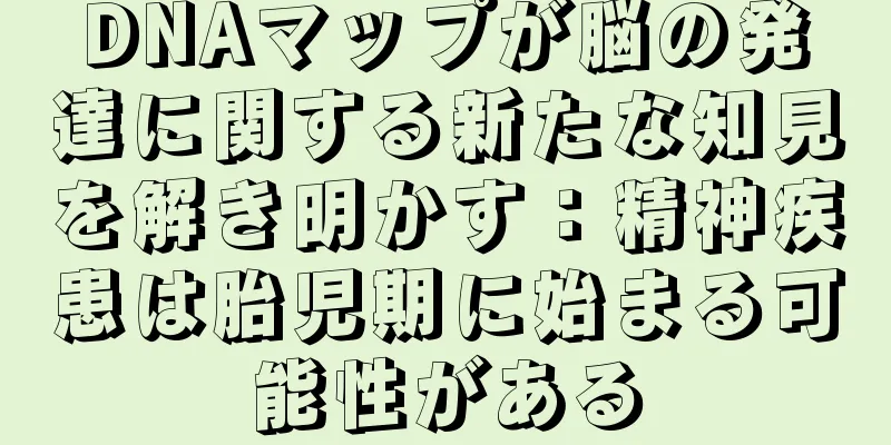 DNAマップが脳の発達に関する新たな知見を解き明かす：精神疾患は胎児期に始まる可能性がある