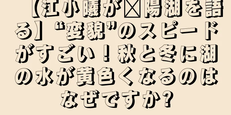 【江小曦が鄱陽湖を語る】“変貌”のスピードがすごい！秋と冬に湖の水が黄色くなるのはなぜですか?