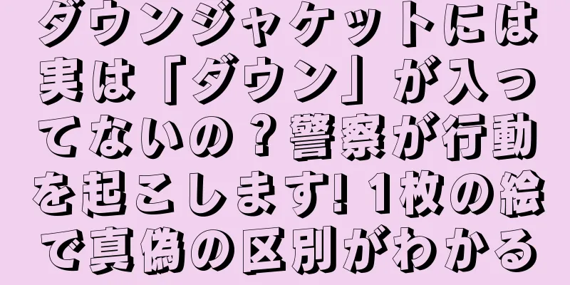 ダウンジャケットには実は「ダウン」が入ってないの？警察が行動を起こします! 1枚の絵で真偽の区別がわかる