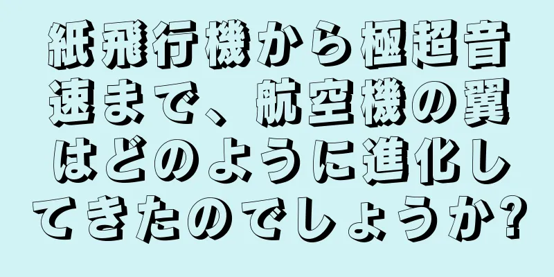 紙飛行機から極超音速まで、航空機の翼はどのように進化してきたのでしょうか?