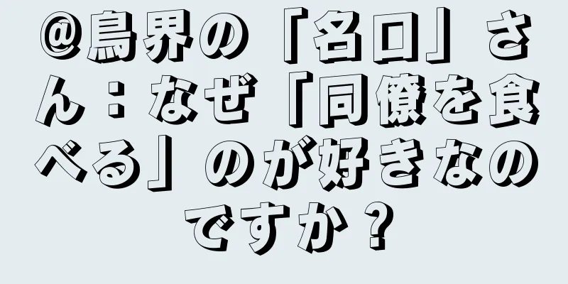 @鳥界の「名口」さん：なぜ「同僚を食べる」のが好きなのですか？