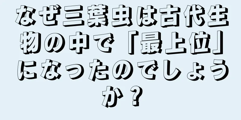 なぜ三葉虫は古代生物の中で「最上位」になったのでしょうか？