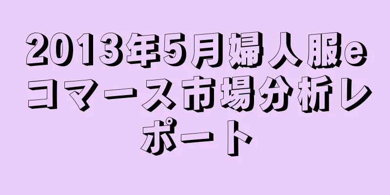 2013年5月婦人服eコマース市場分析レポート