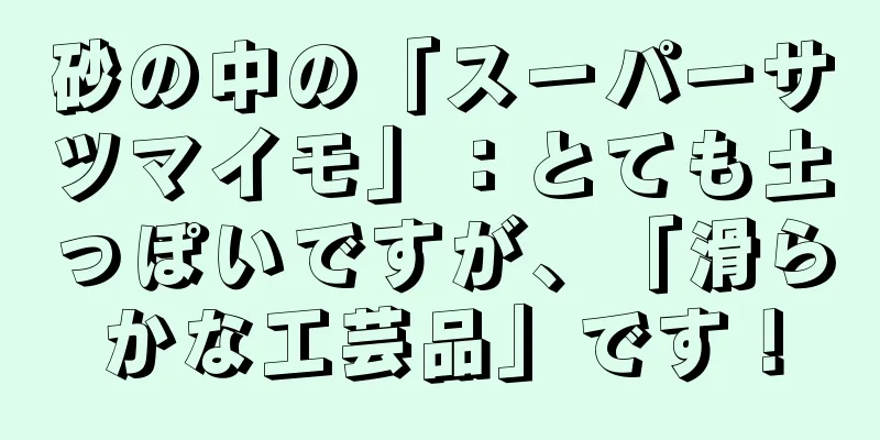 砂の中の「スーパーサツマイモ」：とても土っぽいですが、「滑らかな工芸品」です！