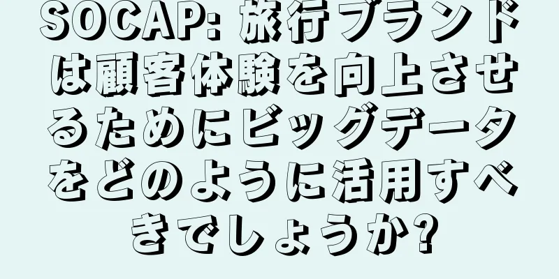 SOCAP: 旅行ブランドは顧客体験を向上させるためにビッグデータをどのように活用すべきでしょうか?