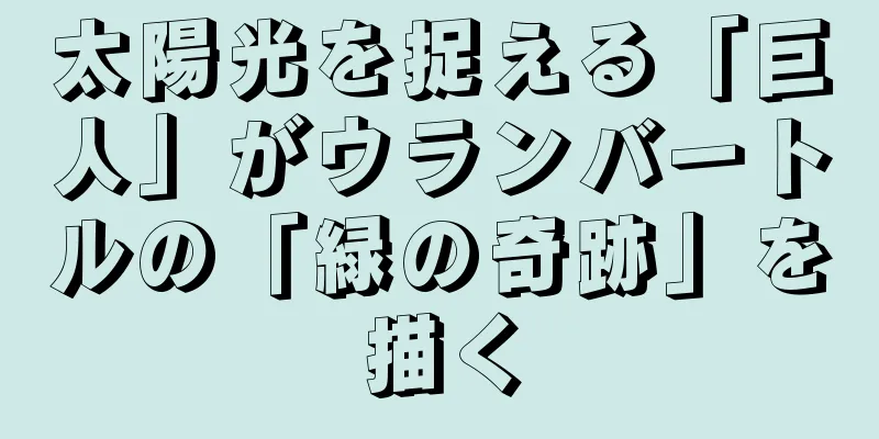 太陽光を捉える「巨人」がウランバートルの「緑の奇跡」を描く
