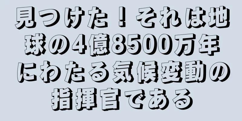 見つけた！それは地球の4億8500万年にわたる気候変動の指揮官である