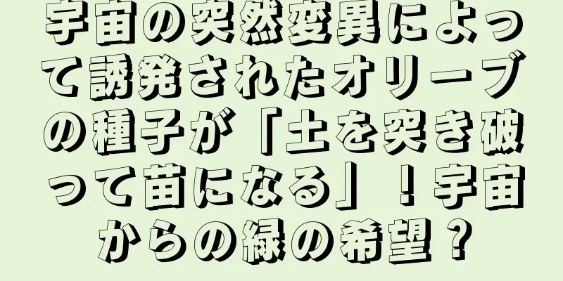 宇宙の突然変異によって誘発されたオリーブの種子が「土を突き破って苗になる」！宇宙からの緑の希望？