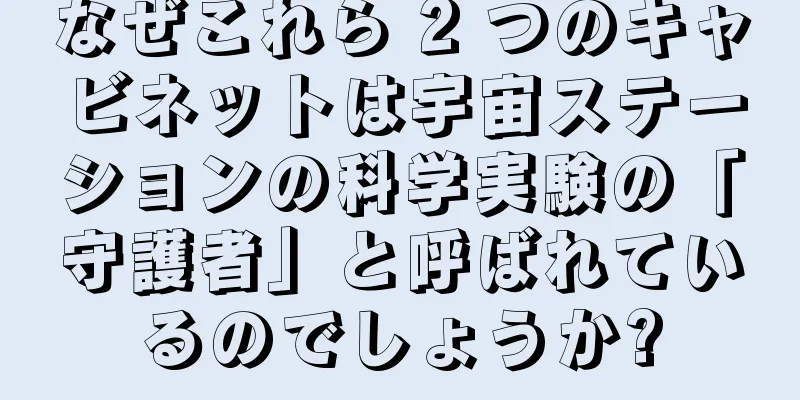 なぜこれら 2 つのキャビネットは宇宙ステーションの科学実験の「守護者」と呼ばれているのでしょうか?