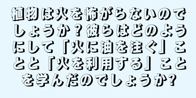 植物は火を怖がらないのでしょうか？彼らはどのようにして「火に油を注ぐ」ことと「火を利用する」ことを学んだのでしょうか?
