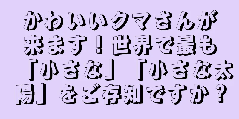 かわいいクマさんが来ます！世界で最も「小さな」「小さな太陽」をご存知ですか？