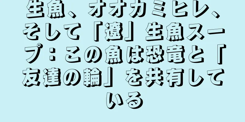 生魚、オオカミヒレ、そして「遼」生魚スープ：この魚は恐竜と「友達の輪」を共有している