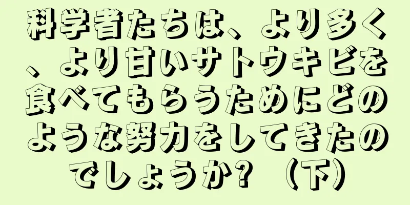 科学者たちは、より多く、より甘いサトウキビを食べてもらうためにどのような努力をしてきたのでしょうか? （下）