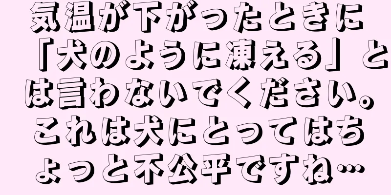 気温が下がったときに「犬のように凍える」とは言わないでください。これは犬にとってはちょっと不公平ですね…
