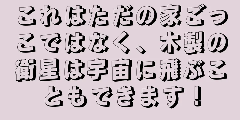 これはただの家ごっこではなく、木製の衛星は宇宙に飛ぶこともできます！