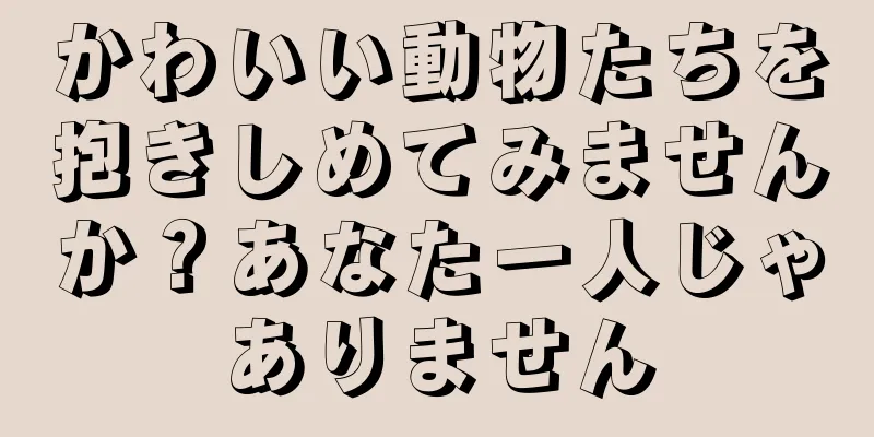 かわいい動物たちを抱きしめてみませんか？あなた一人じゃありません