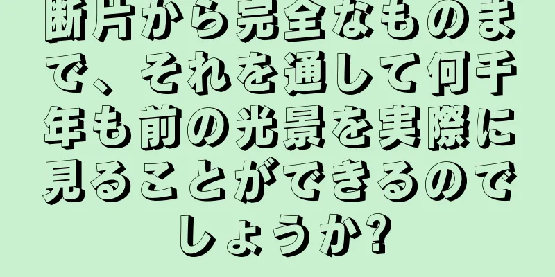 断片から完全なものまで、それを通して何千年も前の光景を実際に見ることができるのでしょうか?