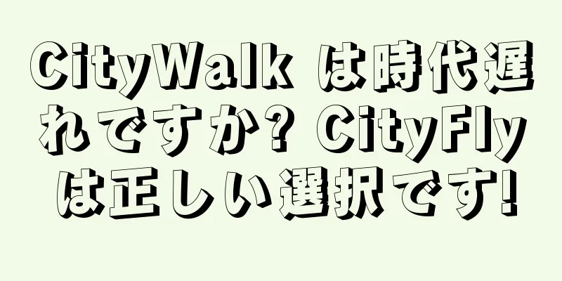CityWalk は時代遅れですか? CityFlyは正しい選択です!