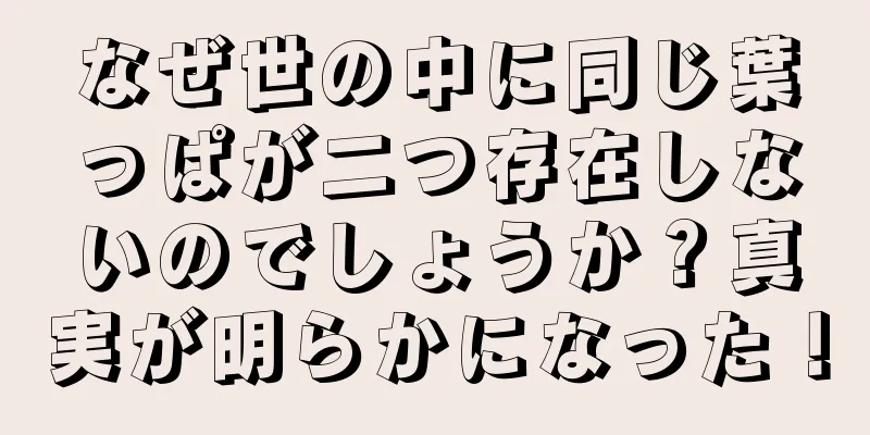 なぜ世の中に同じ葉っぱが二つ存在しないのでしょうか？真実が明らかになった！