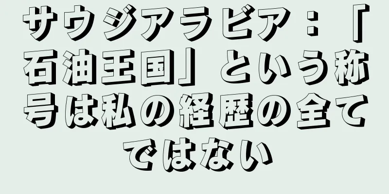 サウジアラビア：「石油王国」という称号は私の経歴の全てではない