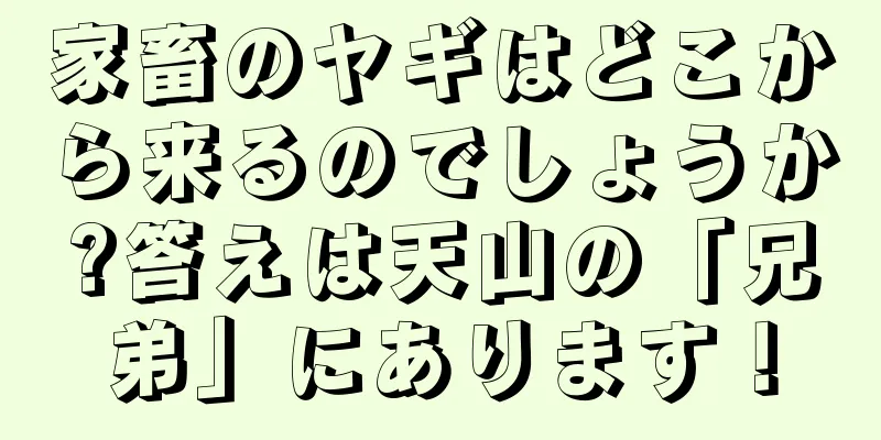 家畜のヤギはどこから来るのでしょうか?答えは天山の「兄弟」にあります！