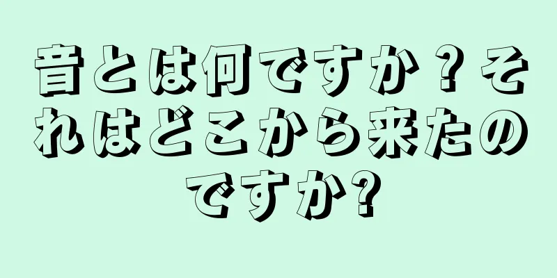 音とは何ですか？それはどこから来たのですか?