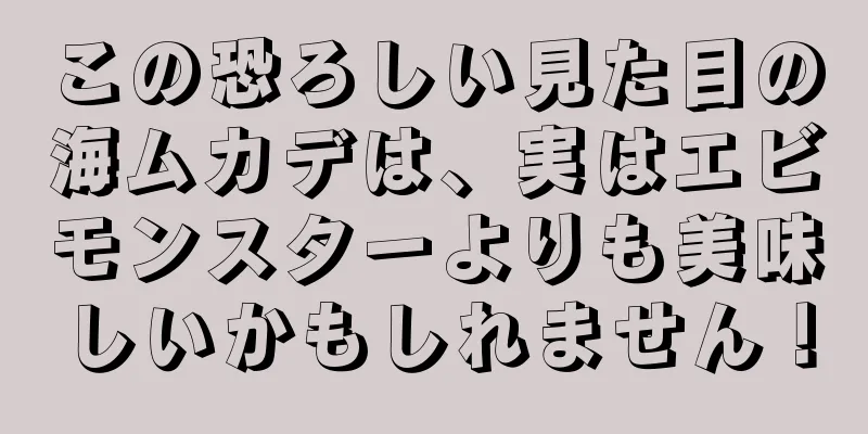 この恐ろしい見た目の海ムカデは、実はエビモンスターよりも美味しいかもしれません！