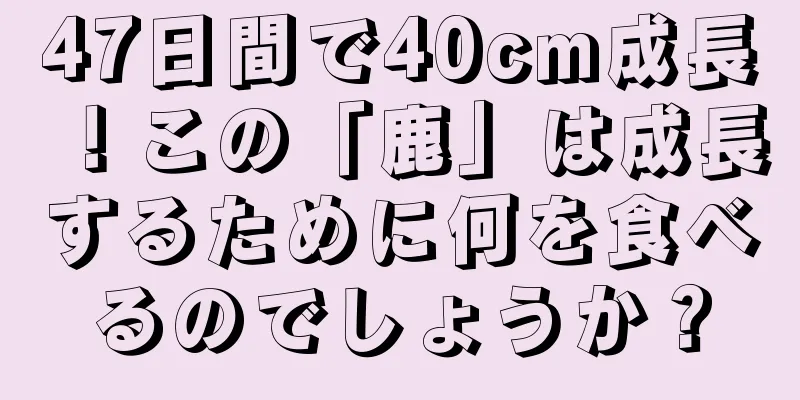 47日間で40cm成長！この「鹿」は成長するために何を食べるのでしょうか？