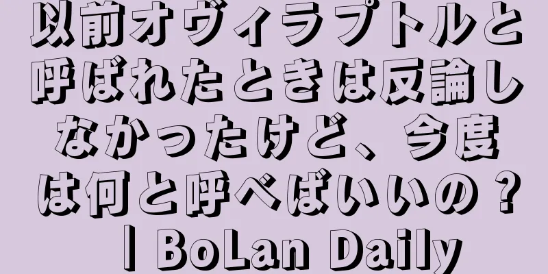 以前オヴィラプトルと呼ばれたときは反論しなかったけど、今度は何と呼べばいいの？｜BoLan Daily