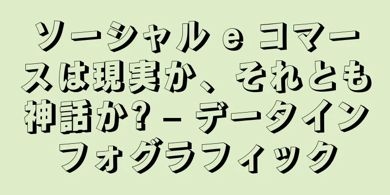 ソーシャル e コマースは現実か、それとも神話か? – データインフォグラフィック