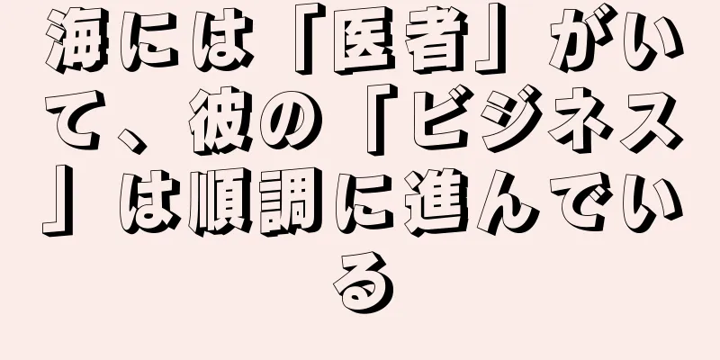 海には「医者」がいて、彼の「ビジネス」は順調に進んでいる