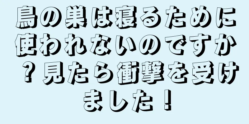鳥の巣は寝るために使われないのですか？見たら衝撃を受けました！