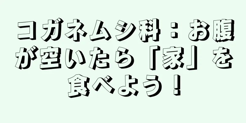 コガネムシ科：お腹が空いたら「家」を食べよう！