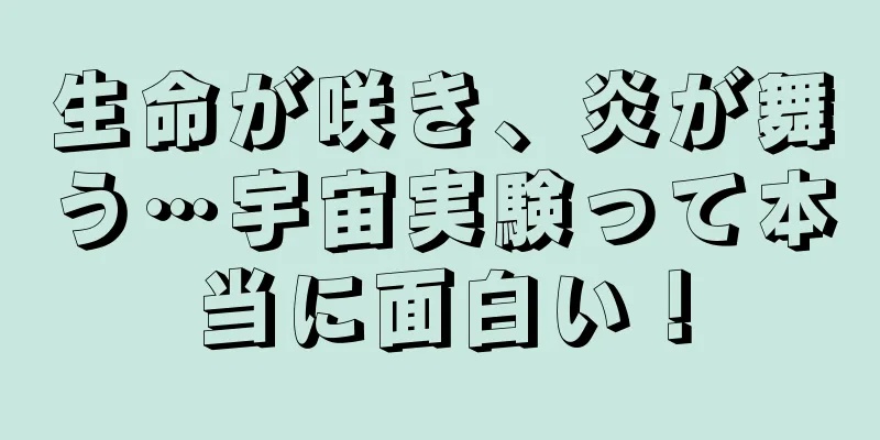 生命が咲き、炎が舞う…宇宙実験って本当に面白い！