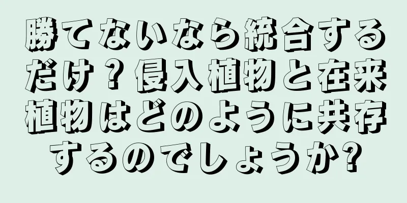 勝てないなら統合するだけ？侵入植物と在来植物はどのように共存するのでしょうか?