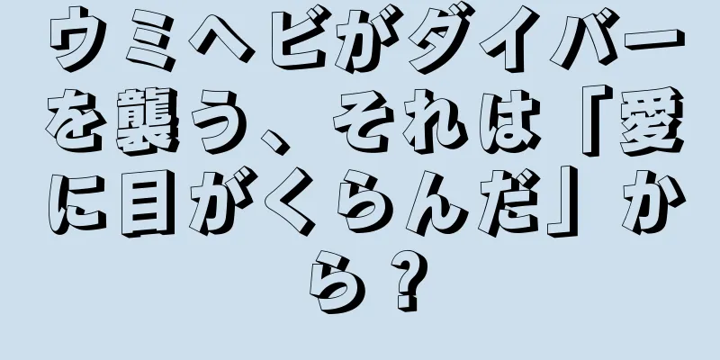 ウミヘビがダイバーを襲う、それは「愛に目がくらんだ」から？