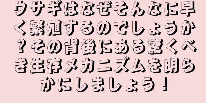 ウサギはなぜそんなに早く繁殖するのでしょうか？その背後にある驚くべき生存メカニズムを明らかにしましょう！