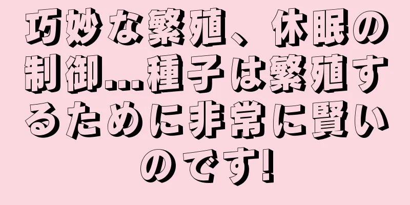 巧妙な繁殖、休眠の制御...種子は繁殖するために非常に賢いのです!