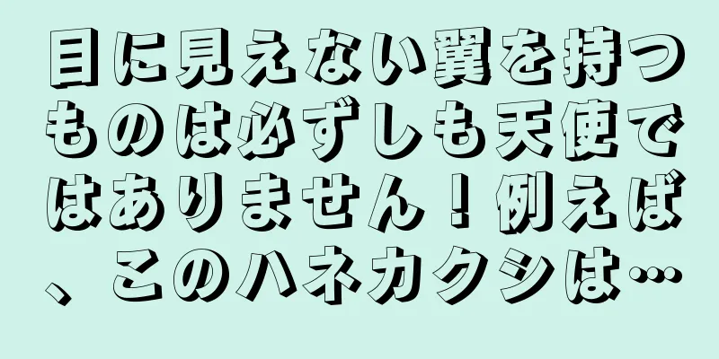目に見えない翼を持つものは必ずしも天使ではありません！例えば、このハネカクシは…