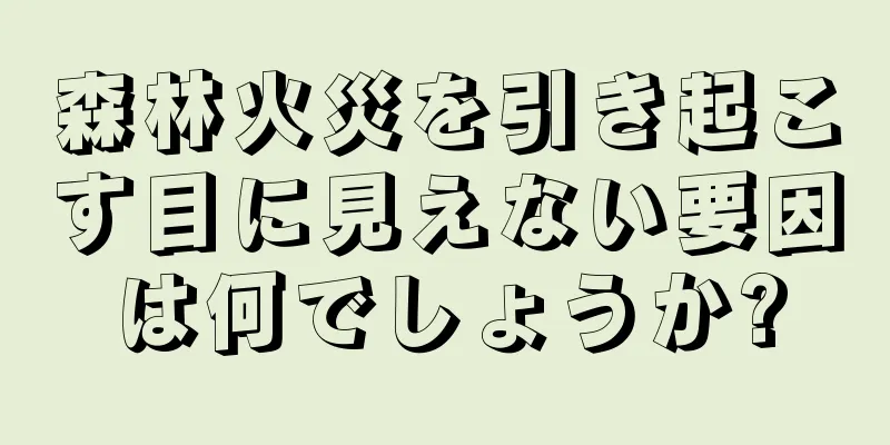 森林火災を引き起こす目に見えない要因は何でしょうか?