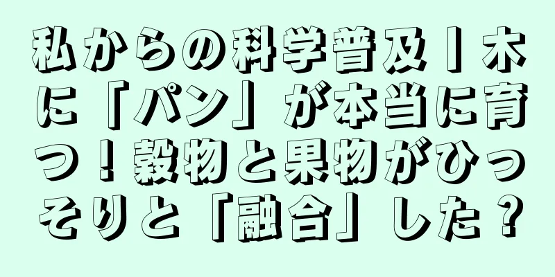 私からの科学普及丨木に「パン」が本当に育つ！穀物と果物がひっそりと「融合」した？