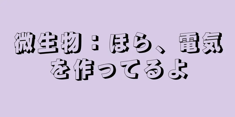 微生物：ほら、電気を作ってるよ