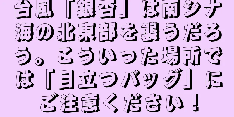 台風「銀杏」は南シナ海の北東部を襲うだろう。こういった場所では「目立つバッグ」にご注意ください！
